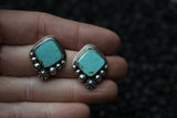 Sonoran ball accent studs