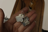 Pink Conch Hook earrings