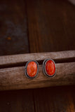 Orange spiny oyster studs