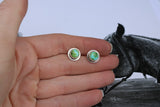 Sonoran studs