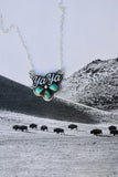 Custom Cluster Brand Necklace
