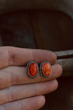 Orange spiny oyster studs