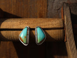 Royston Turquoise post earrings