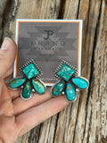 Turquoise Statement posts