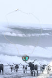 Half Moon turquoise necklace