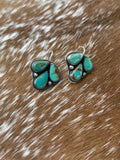 Turquoise Mountain cluster hooks