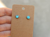 Turquoise studs