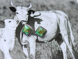 Sonoran square post earrings
