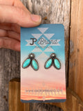 Turquoise duo posts